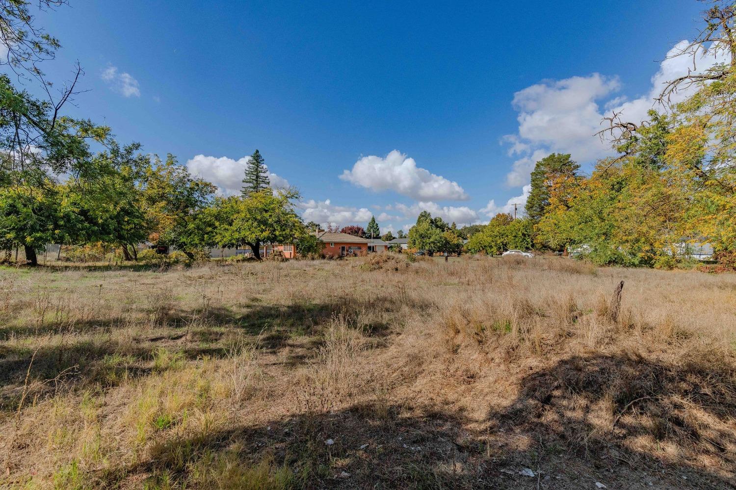 Shakeley Lane, Ione, California image 16