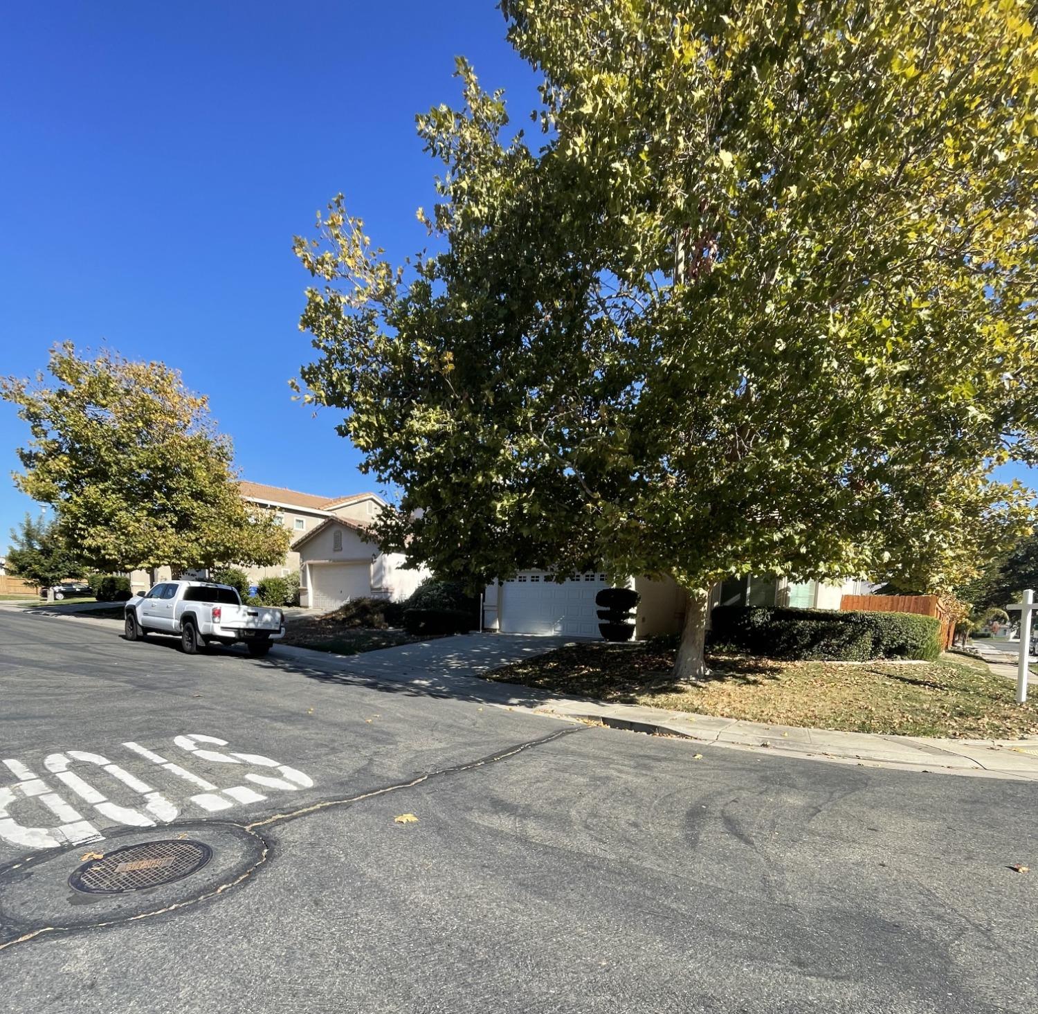 Lady Bird Court, Elk Grove, California image 3