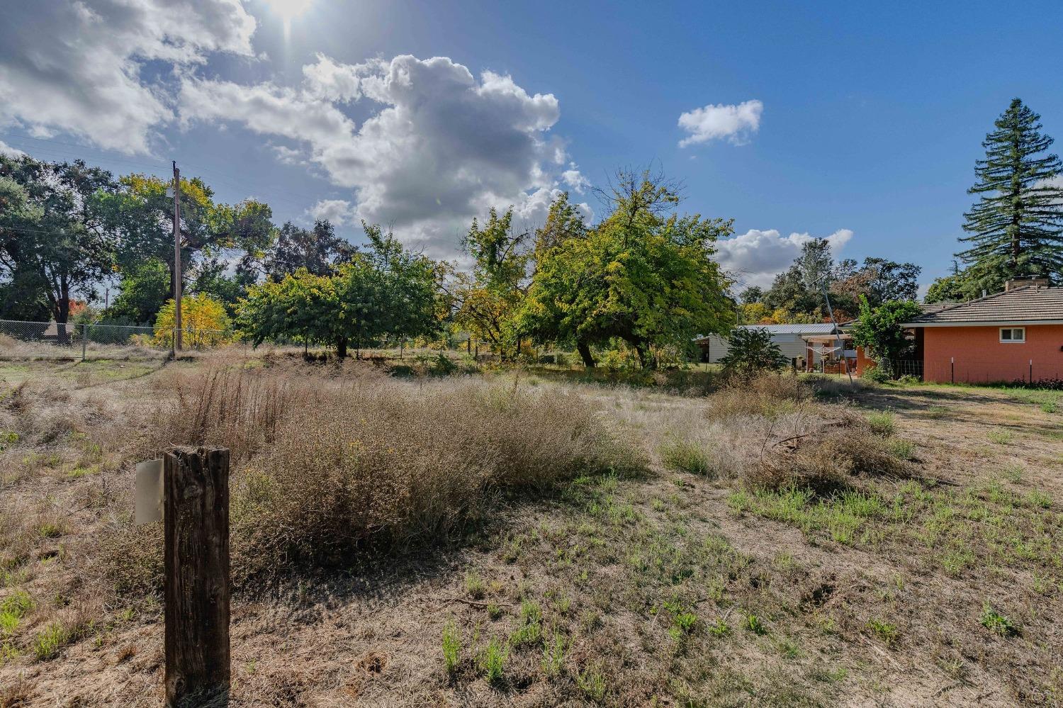 Shakeley Lane, Ione, California image 21