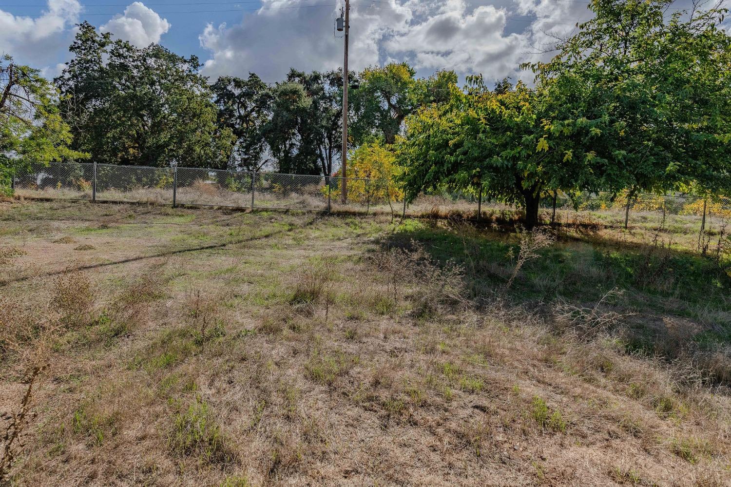 Shakeley Lane, Ione, California image 24