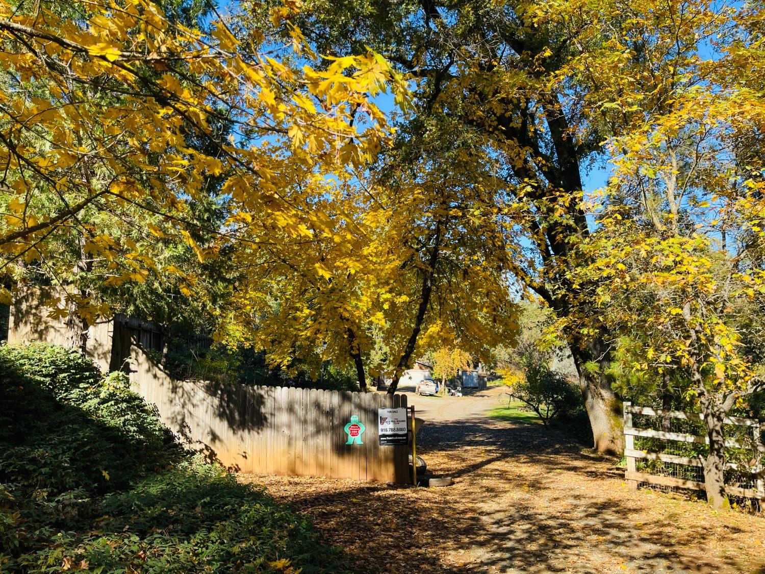 Manhattan Creek Road, Garden Valley, California image 6