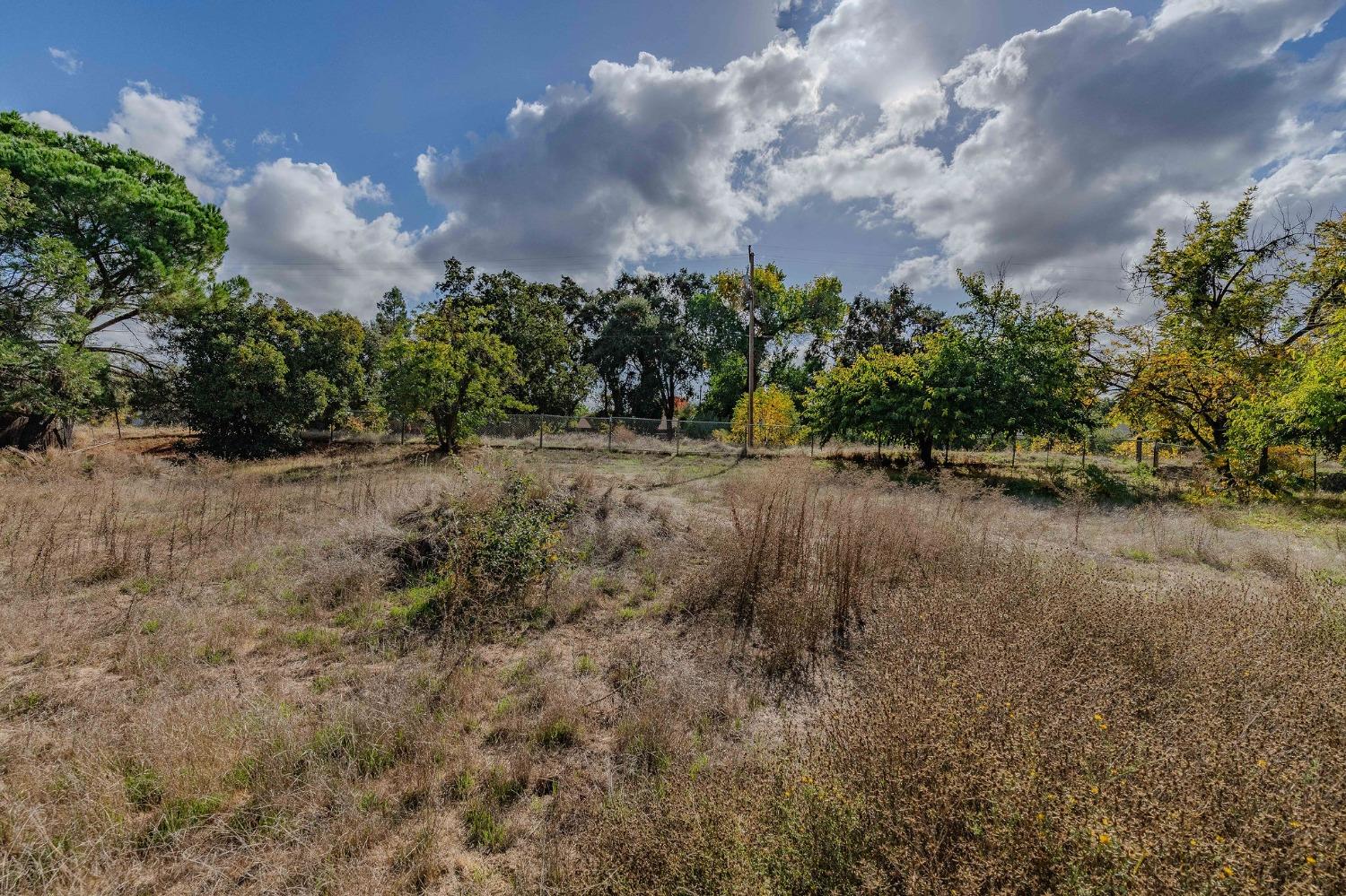 Shakeley Lane, Ione, California image 19