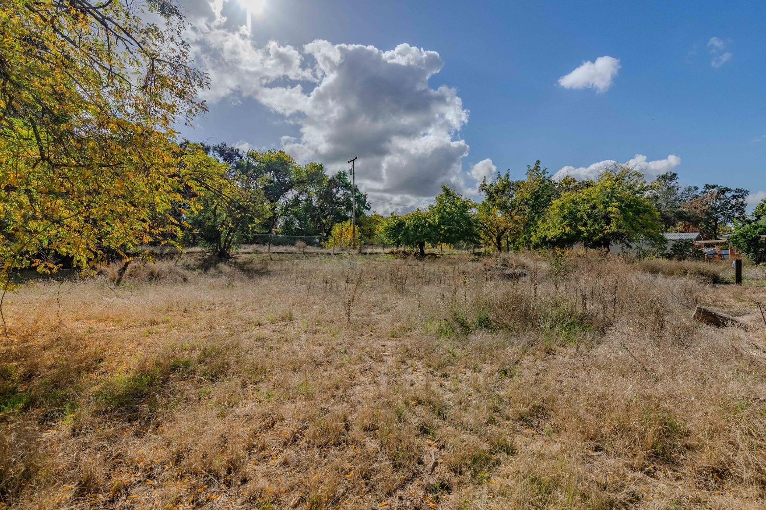 Shakeley Lane, Ione, California image 18