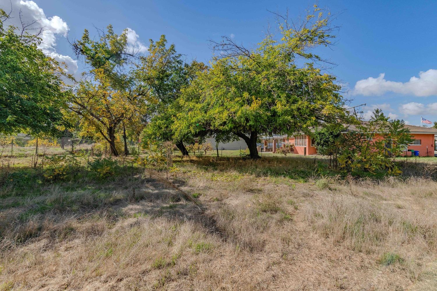 Shakeley Lane, Ione, California image 25