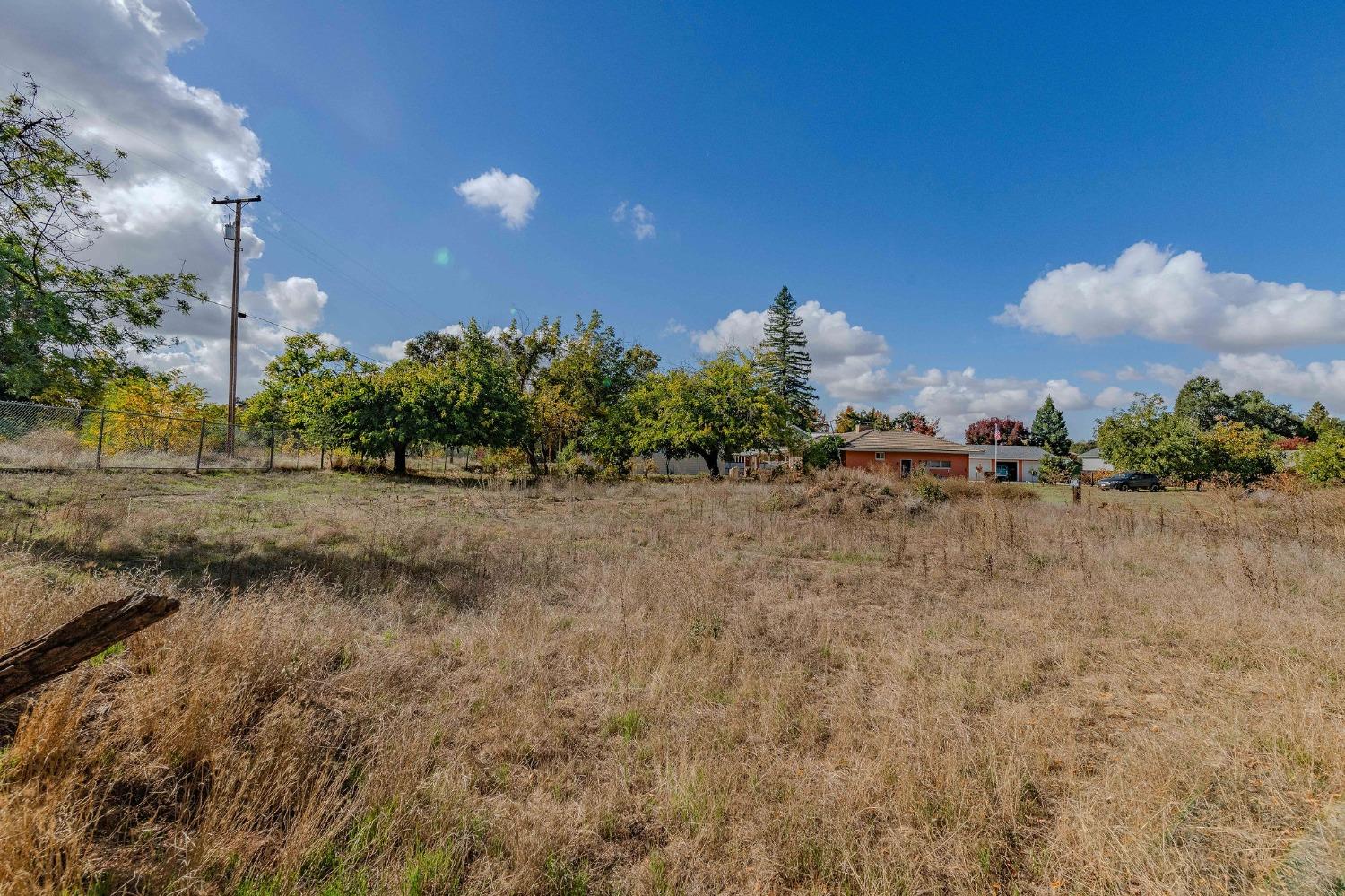 Shakeley Lane, Ione, California image 17