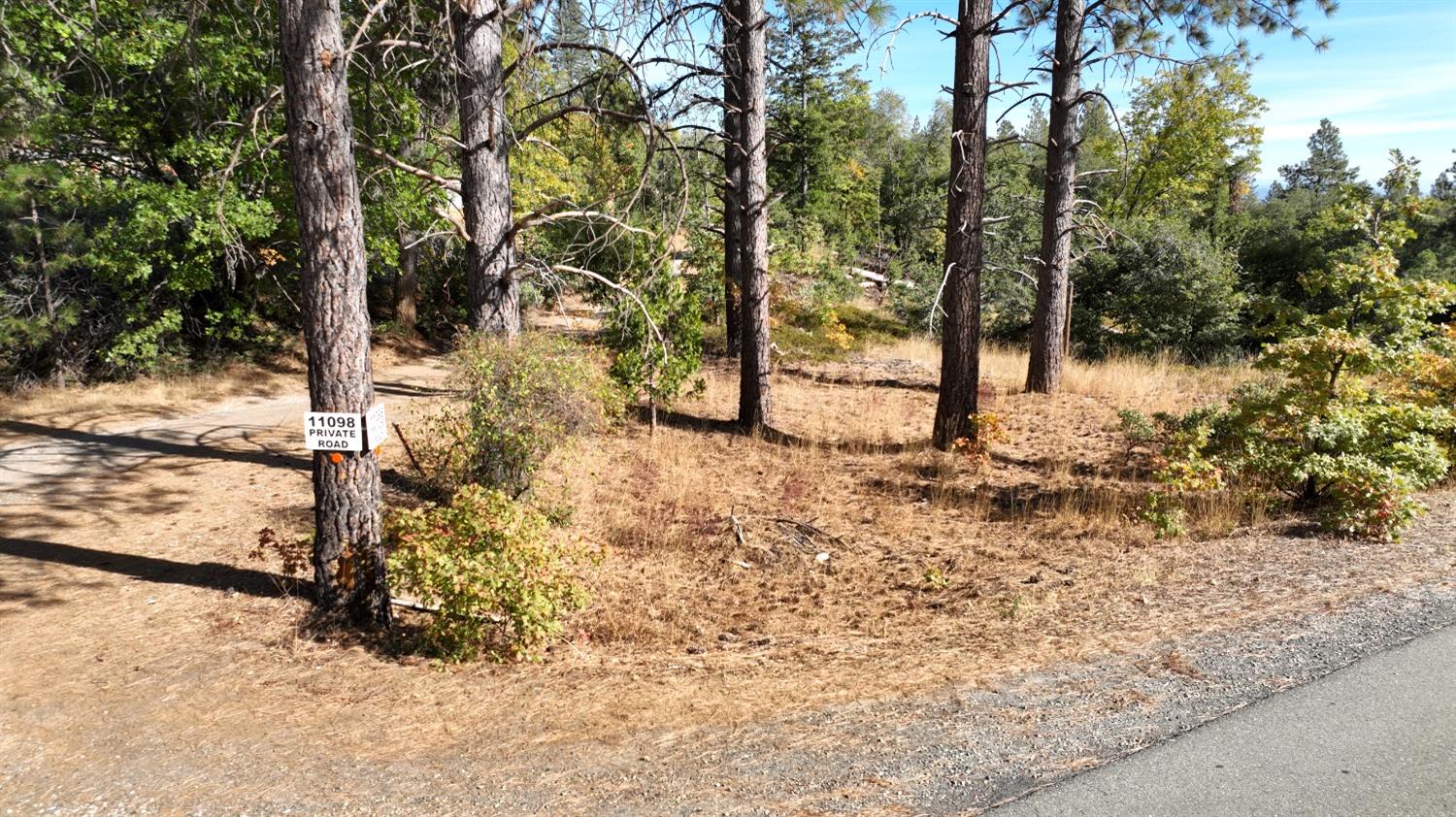 Smith Station Road, Coulterville, California image 5