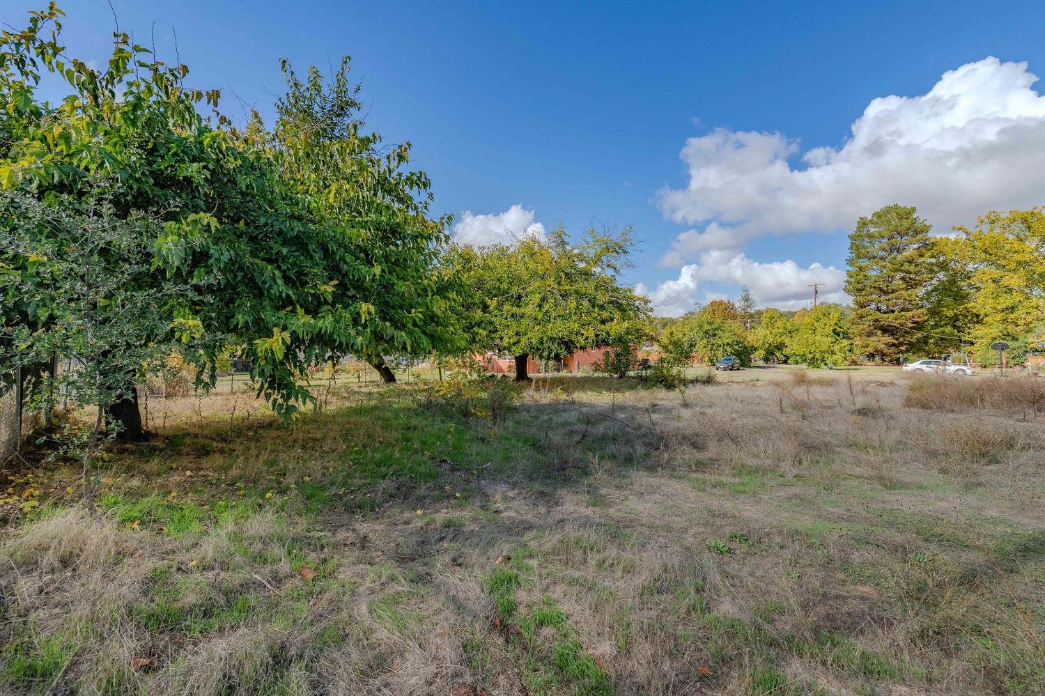 Shakeley Lane, Ione, California image 14