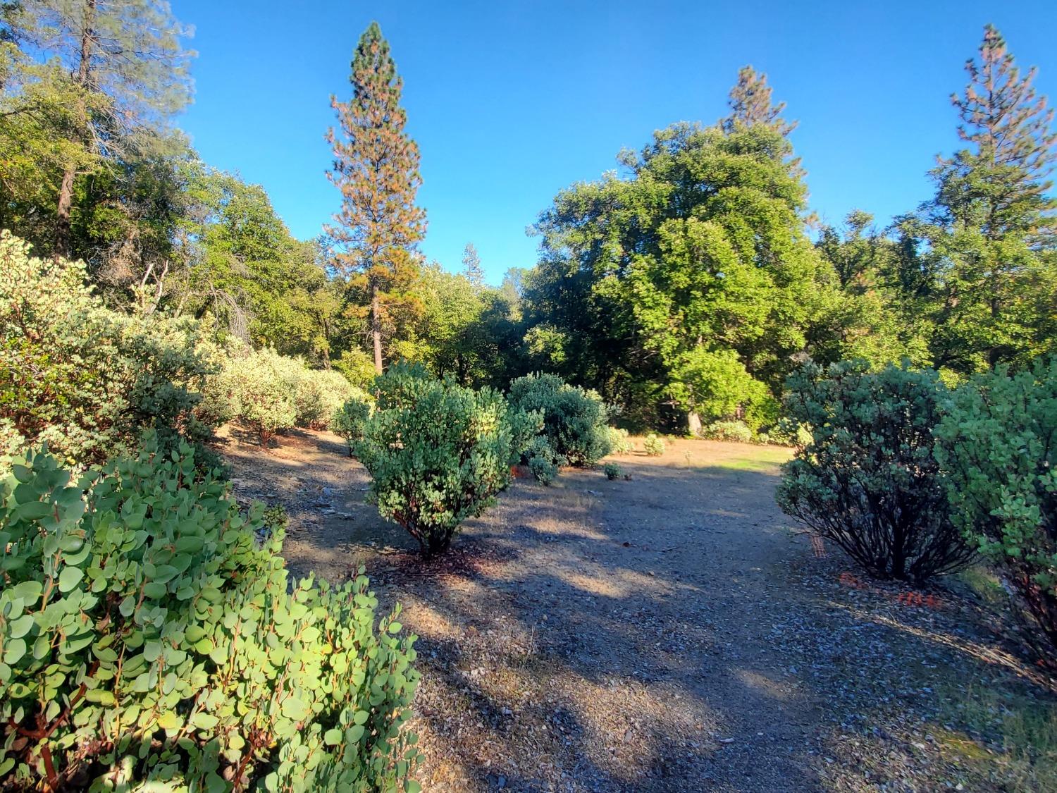 Photo of 59 Tumbleweed Rd in El Dorado, CA