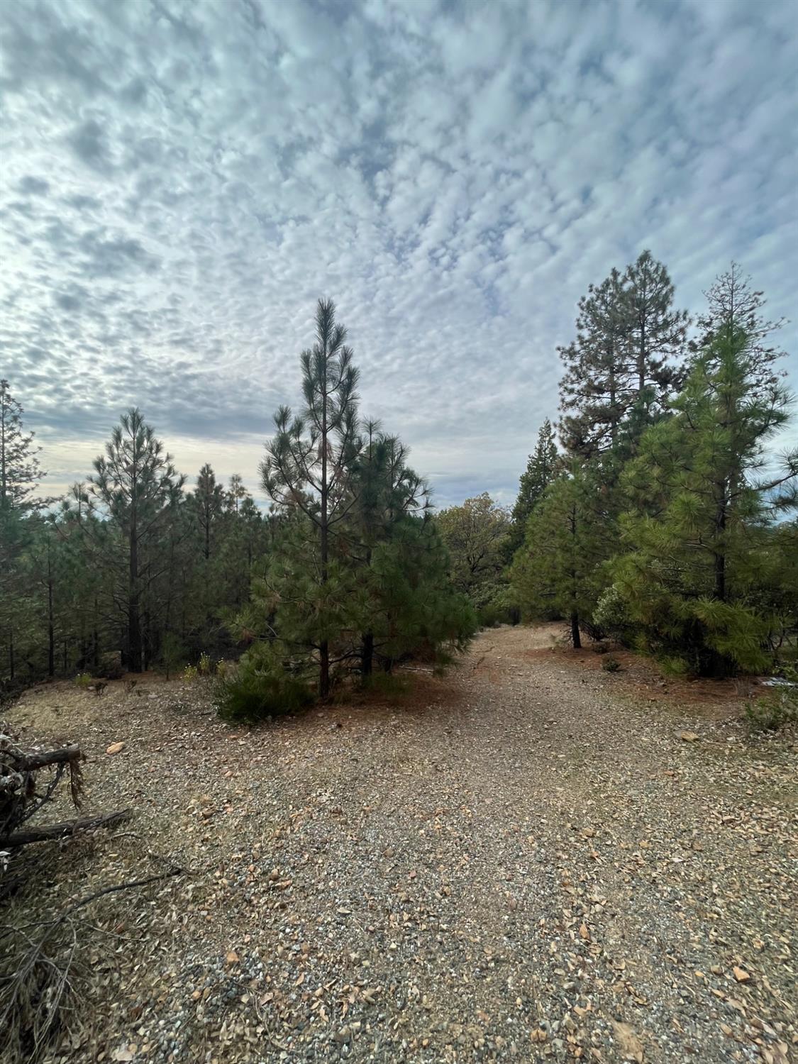 Tank Court, Pine Grove, California image 2