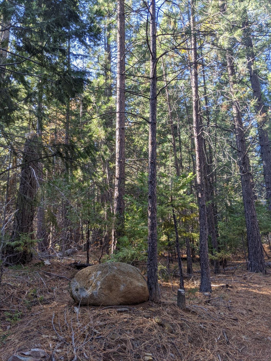 Detail Gallery Image 42 of 49 For 12664 Last Chance Mine Rd, Nevada City,  CA 95959 - – Beds | – Baths