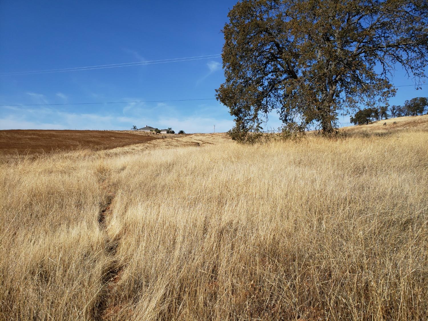 La Grange, La Grange, California image 11