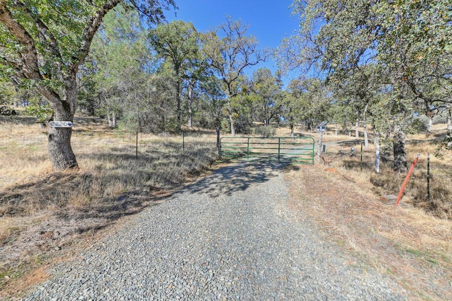 Keller Road, Smartsville, California image 43