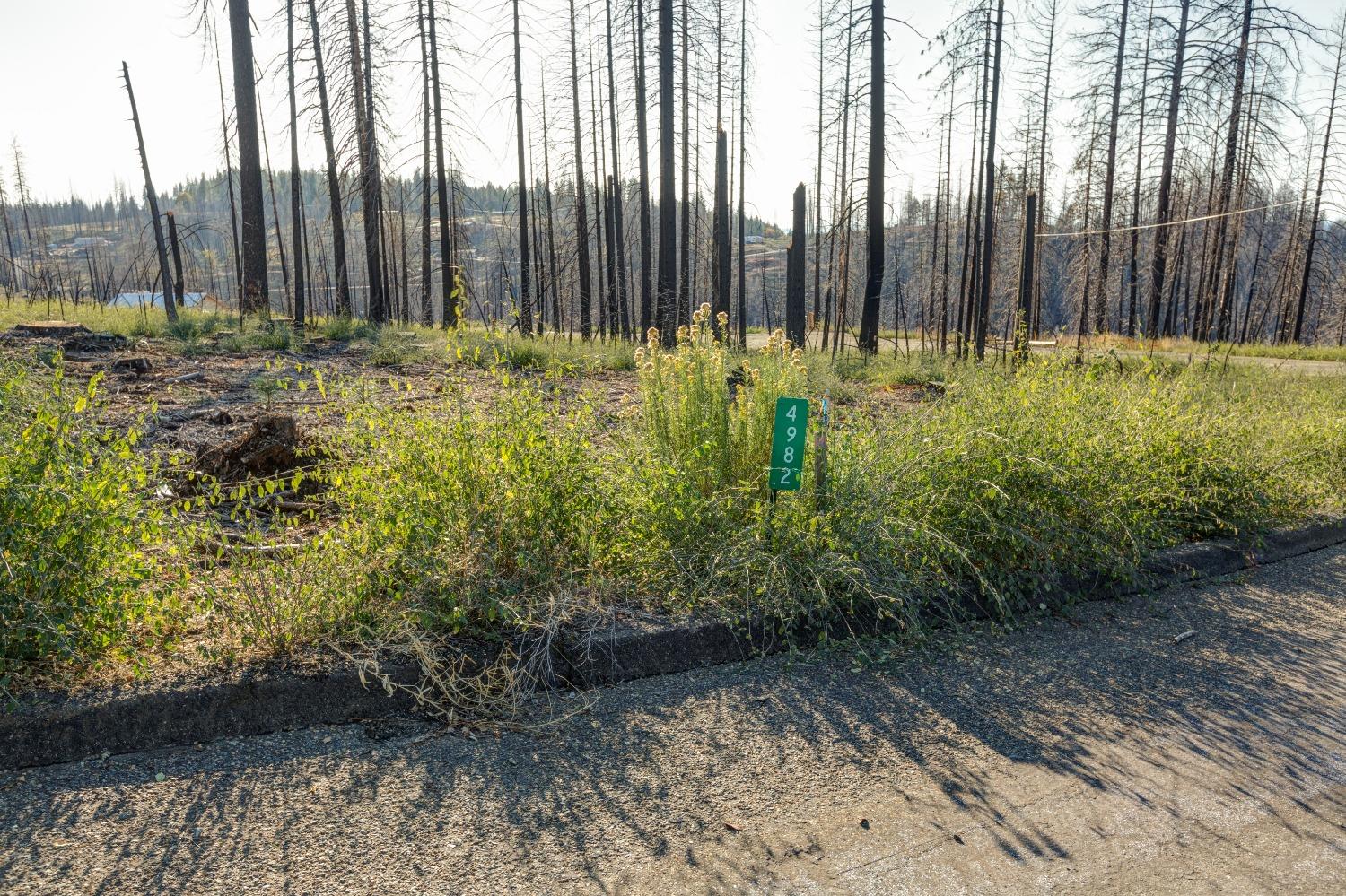 Rollingwood Court, Grizzly Flats, California image 8