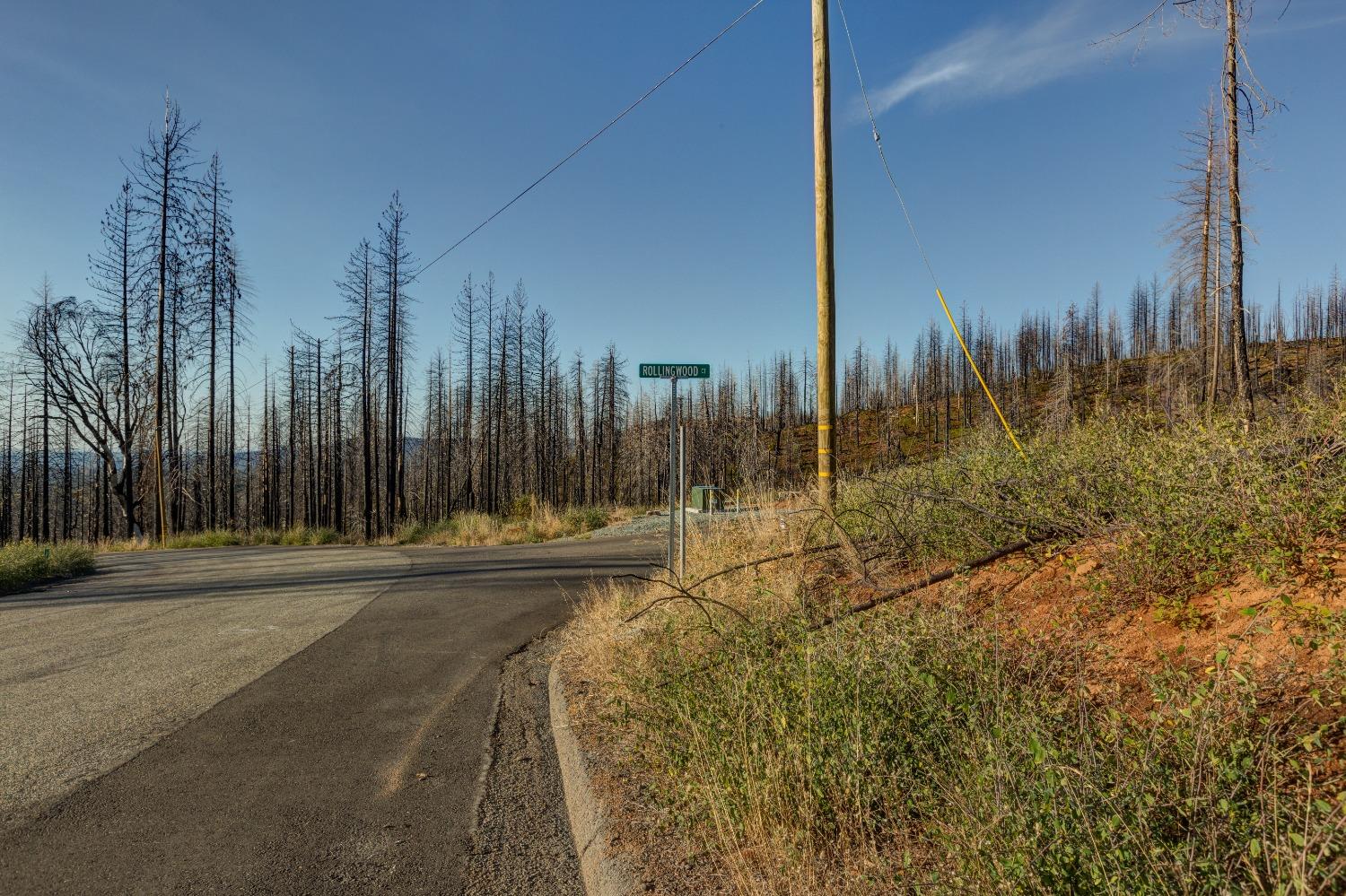 Rollingwood Court, Grizzly Flats, California image 14