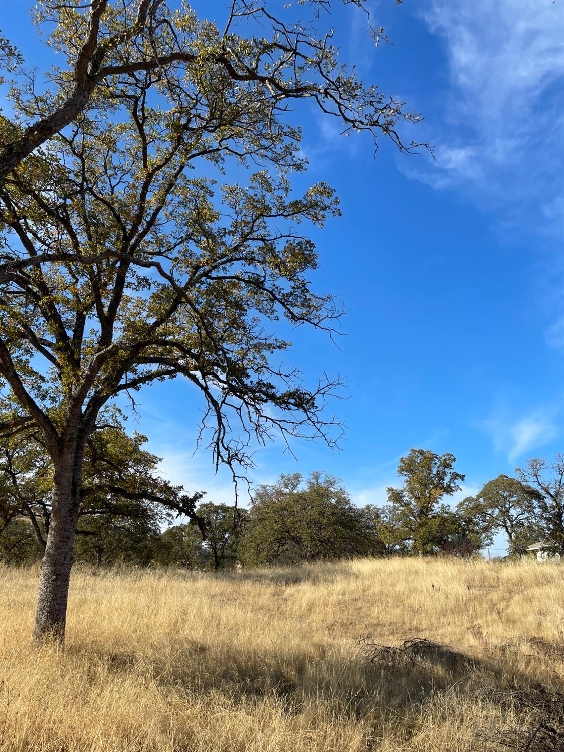 Buena Vista Drive, La Grange, California image 5