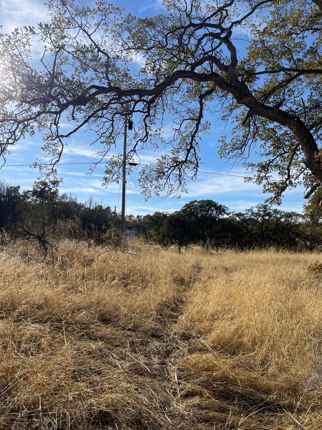 Buena Vista Drive, La Grange, California image 6