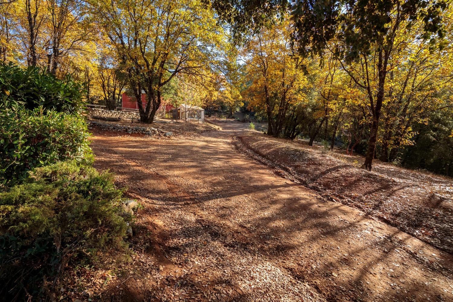 Arrowhead Mine Road, Grass Valley, California image 15