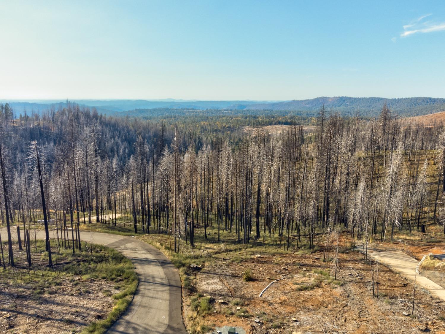 Rollingwood Court, Grizzly Flats, California image 3