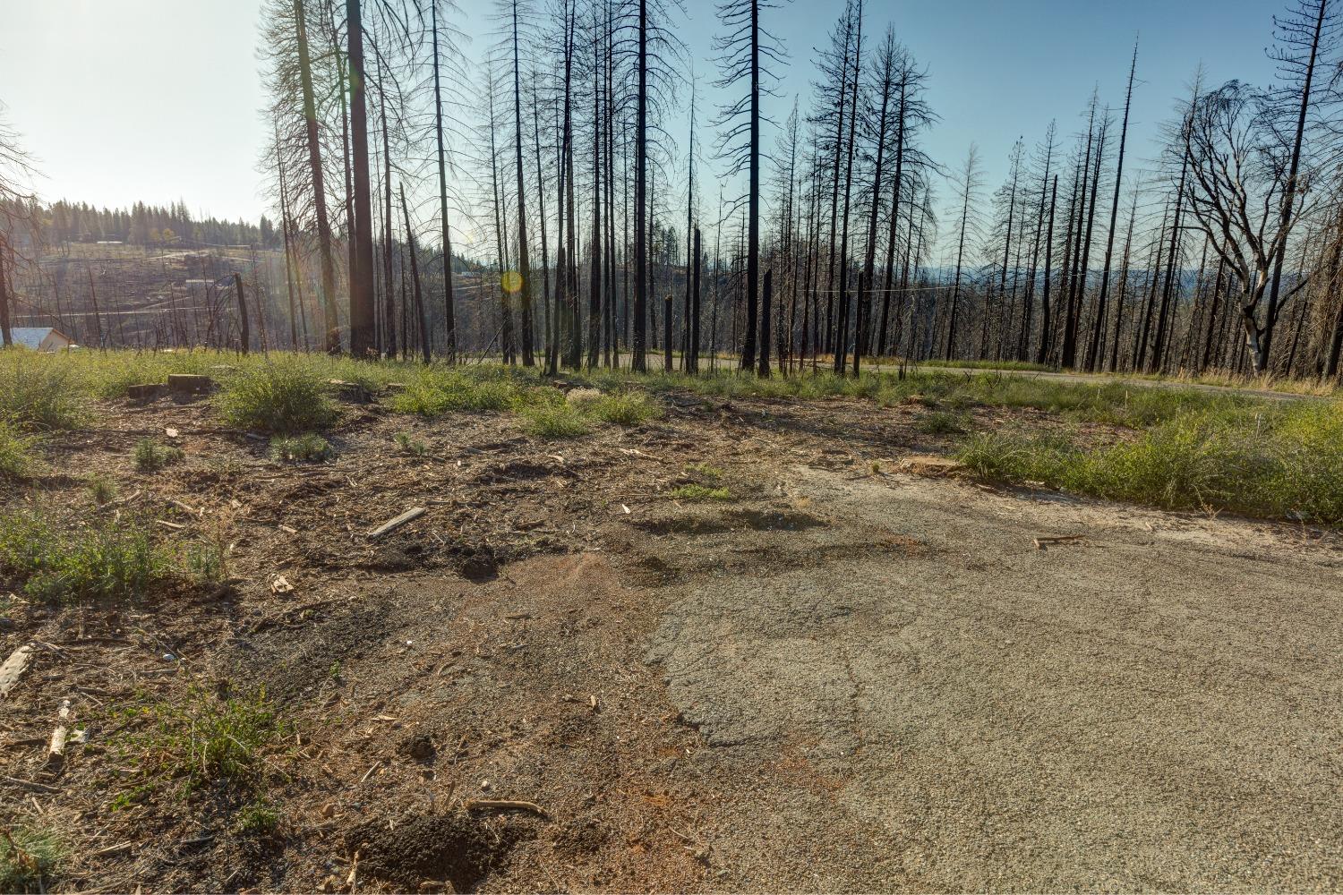 Rollingwood Court, Grizzly Flats, California image 12