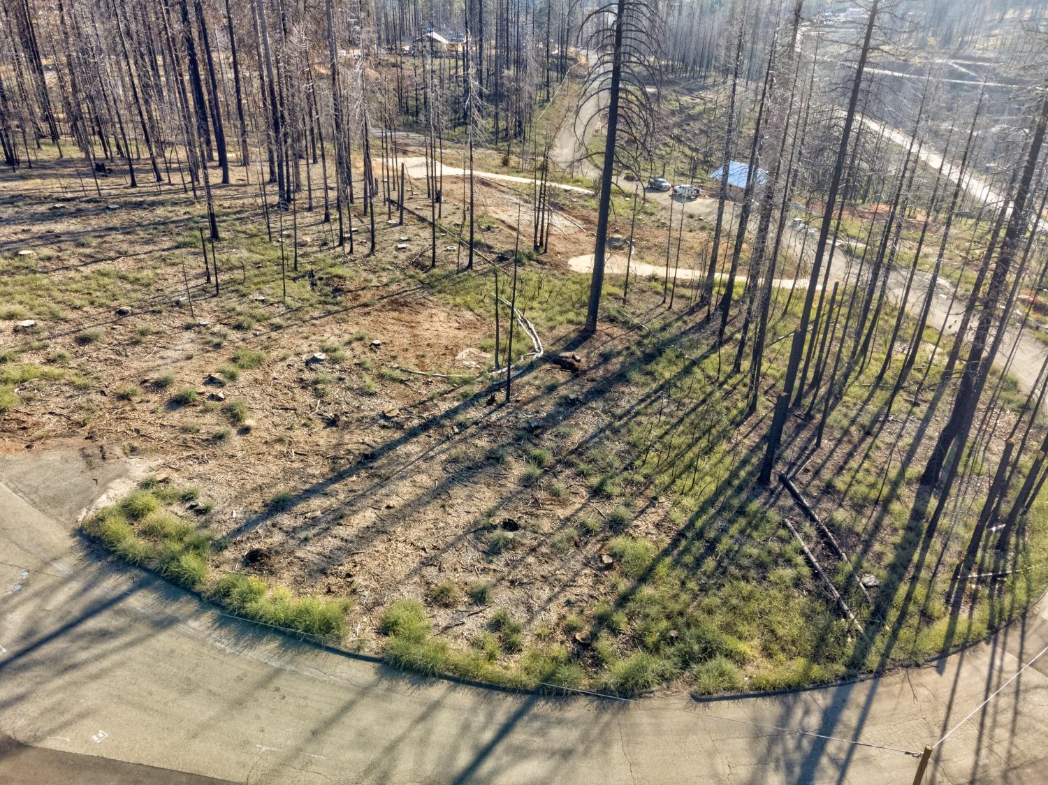 Rollingwood Court, Grizzly Flats, California image 1