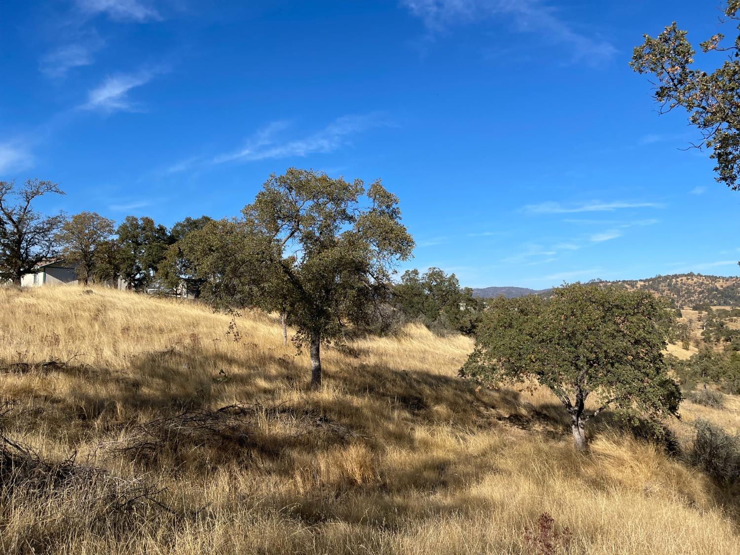 Buena Vista Drive, La Grange, California image 3