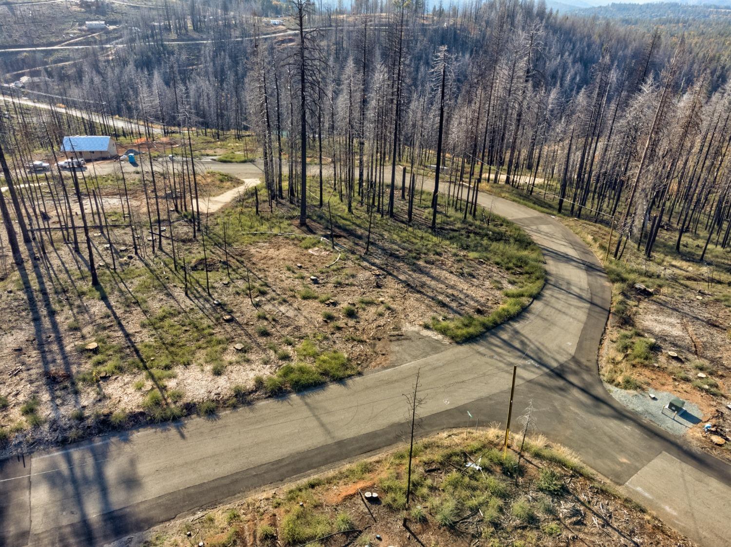 Rollingwood Court, Grizzly Flats, California image 2