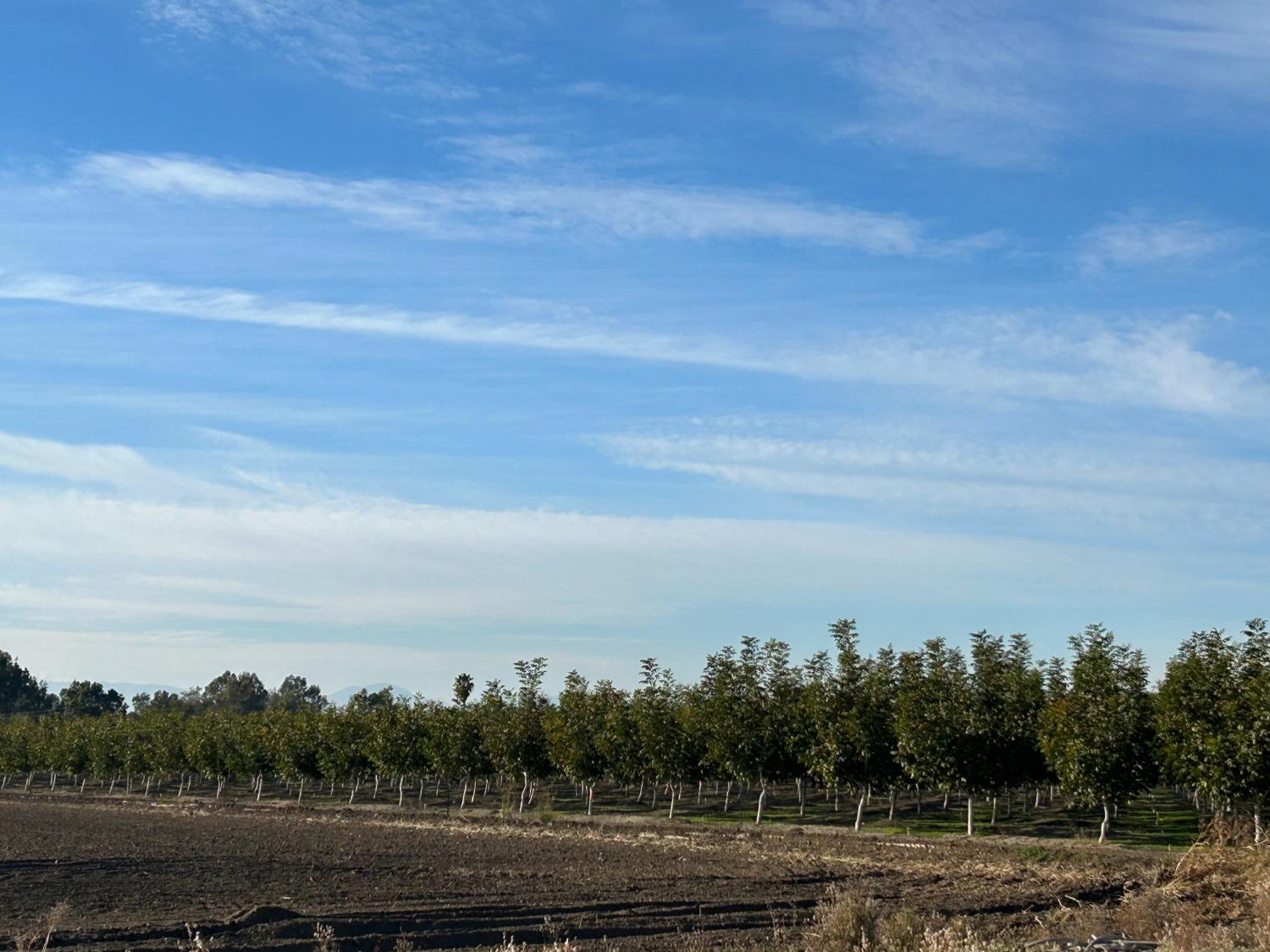 Wilson Ave, Colusa, California image 4