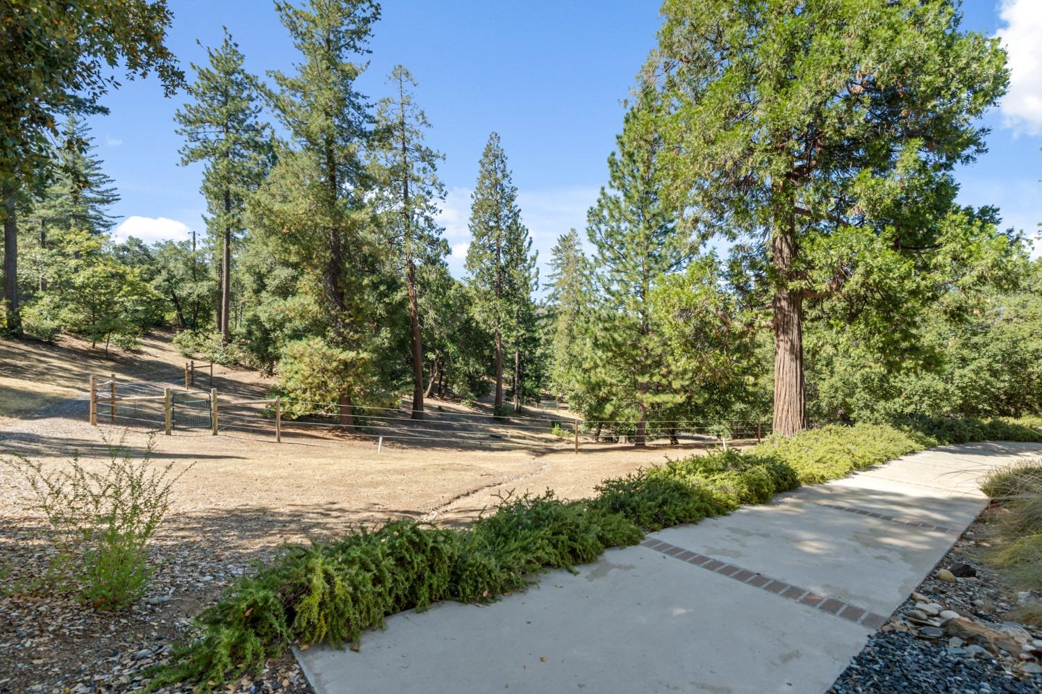 Detail Gallery Image 29 of 52 For 11345 Bridal Veil, Groveland,  CA 95321 - 3 Beds | 2/1 Baths
