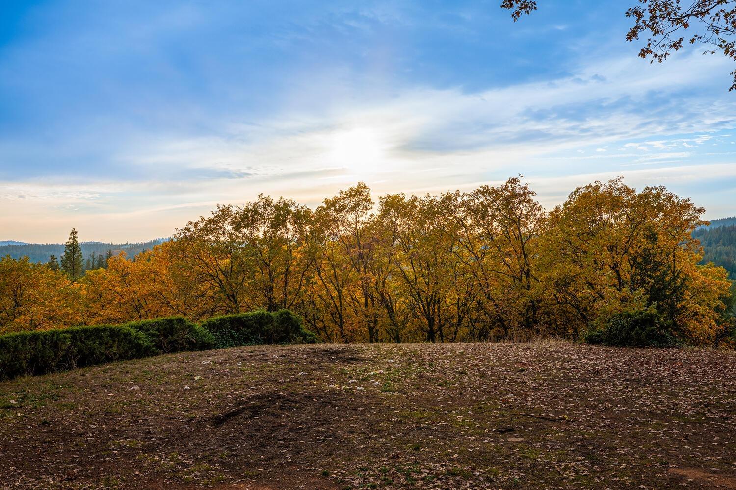 Arrowhead Mine Road, Grass Valley, California image 25