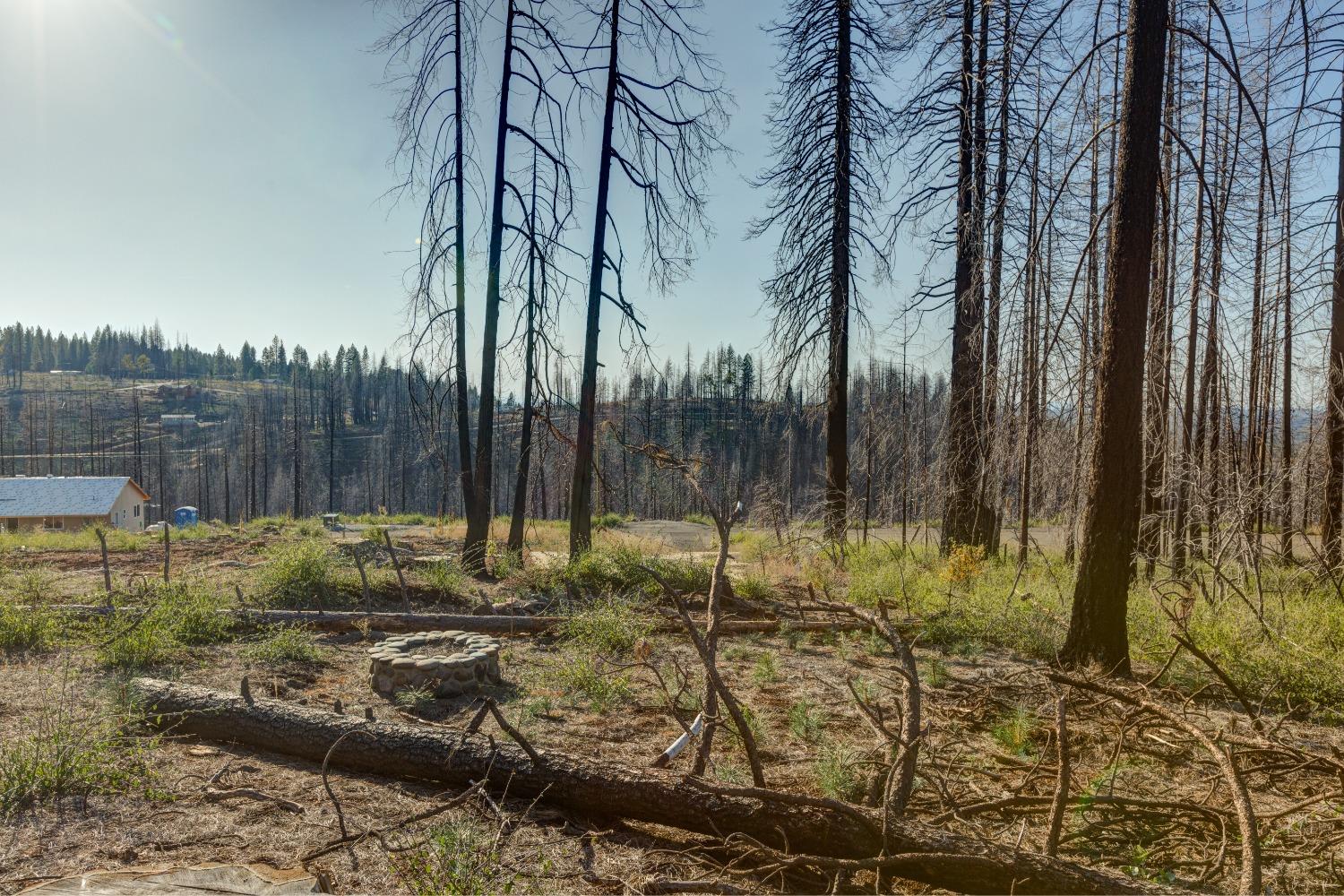 Rollingwood Court, Grizzly Flats, California image 9