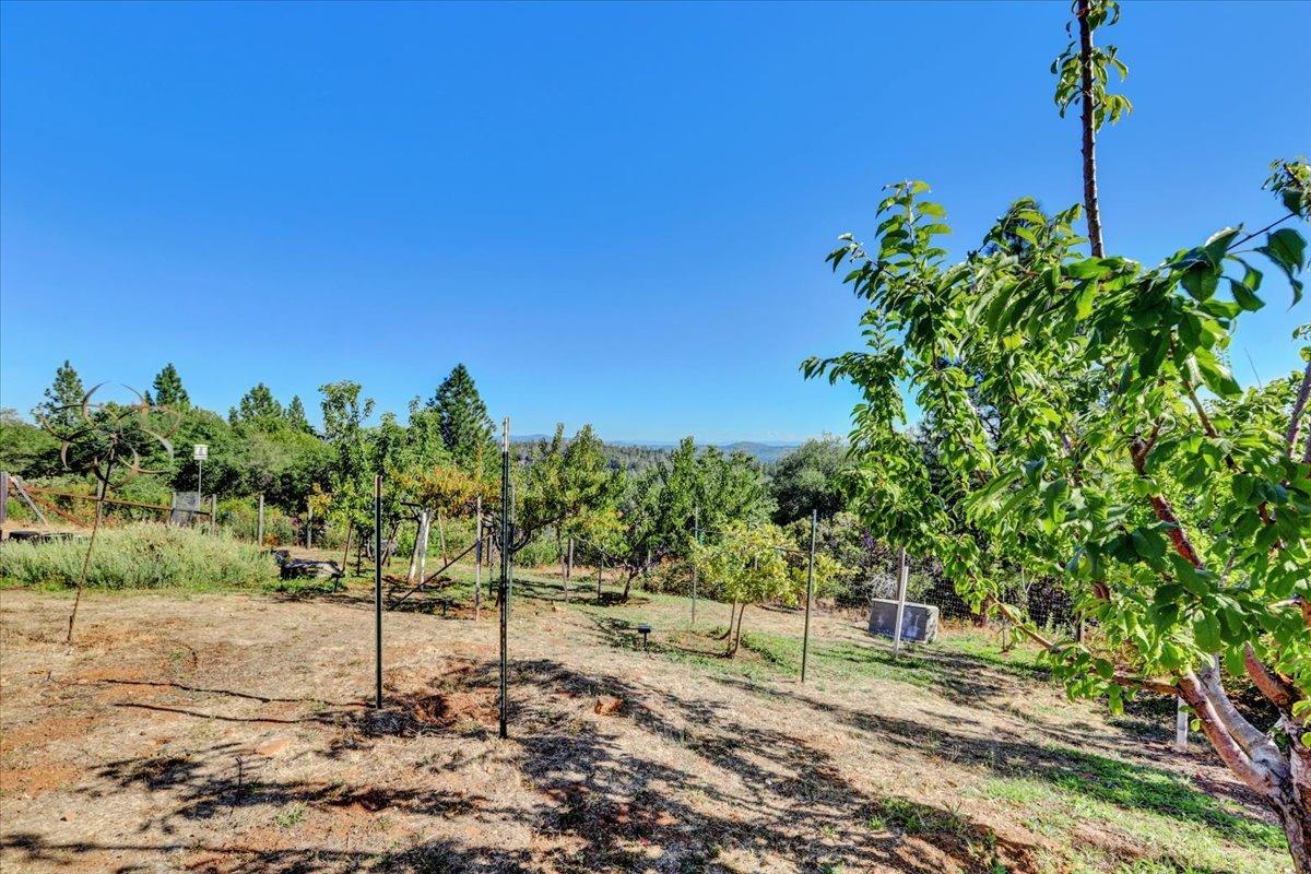 Detail Gallery Image 62 of 76 For 10698 Bell Rd, Penn Valley,  CA 95946 - 3 Beds | 2/1 Baths