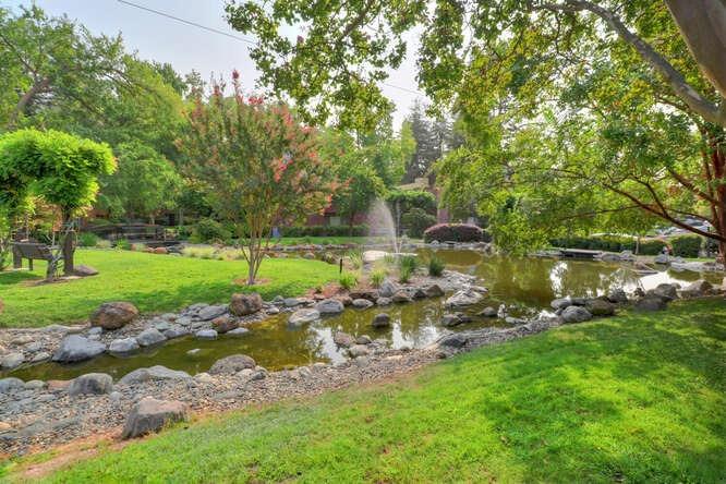Photo #31: 223109339 Listing: Photo #31