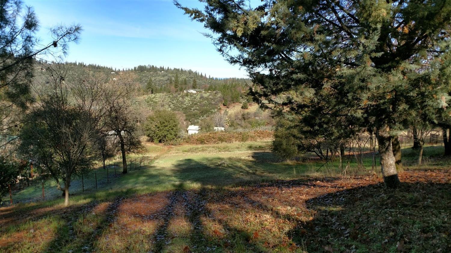 Quail Alley, Rough and Ready, California image 3