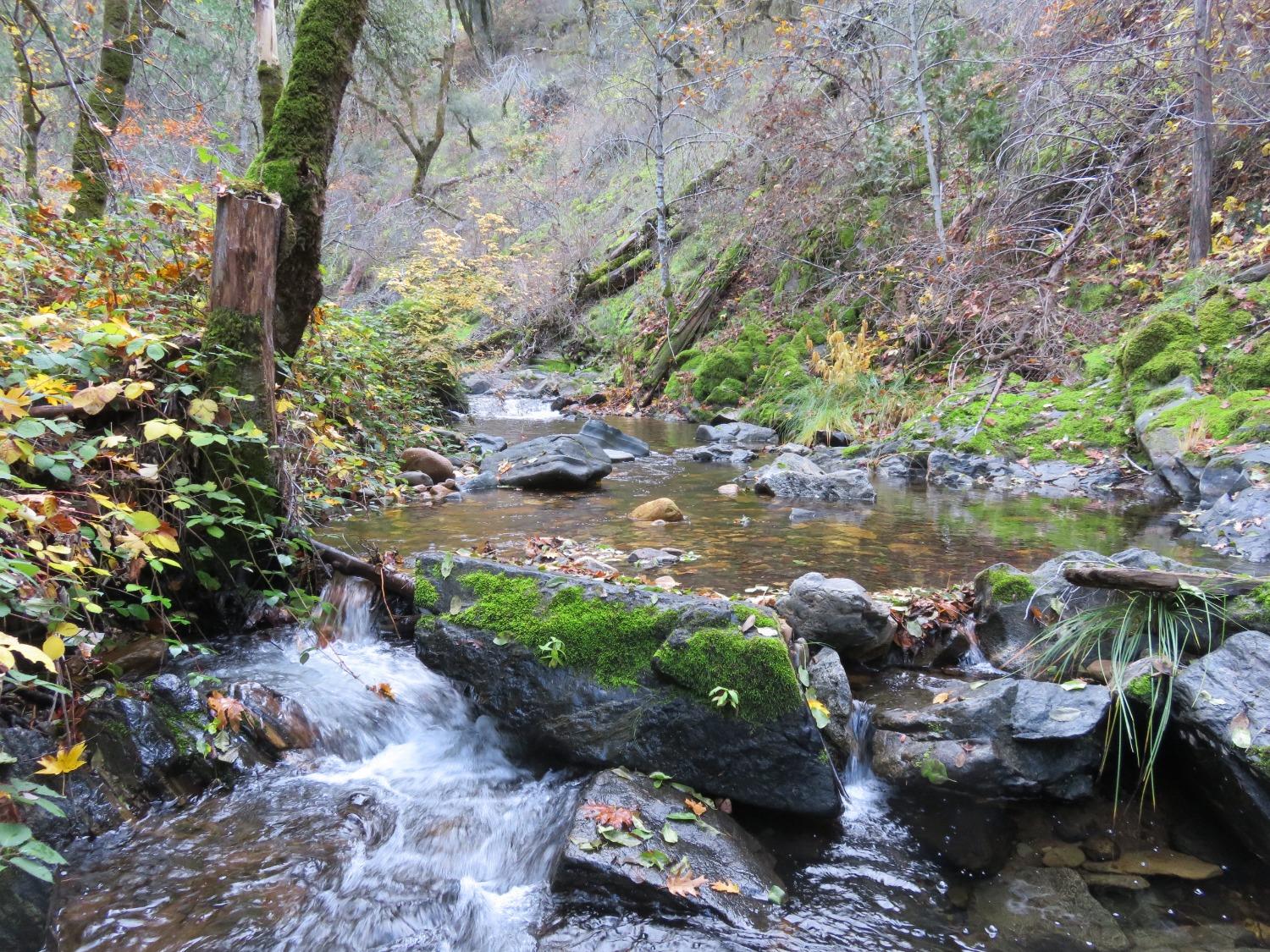 Blue Mountain Road, Wilseyville, California image 2