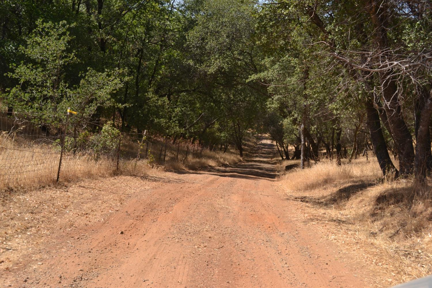 Avacado Road, Bangor, California image 30