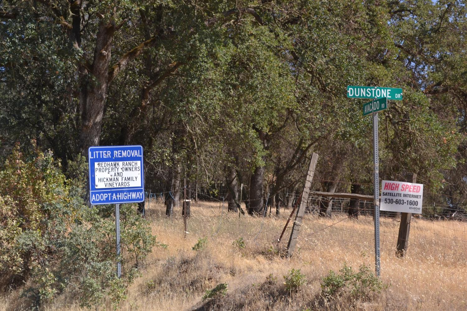 Avacado Road, Bangor, California image 6