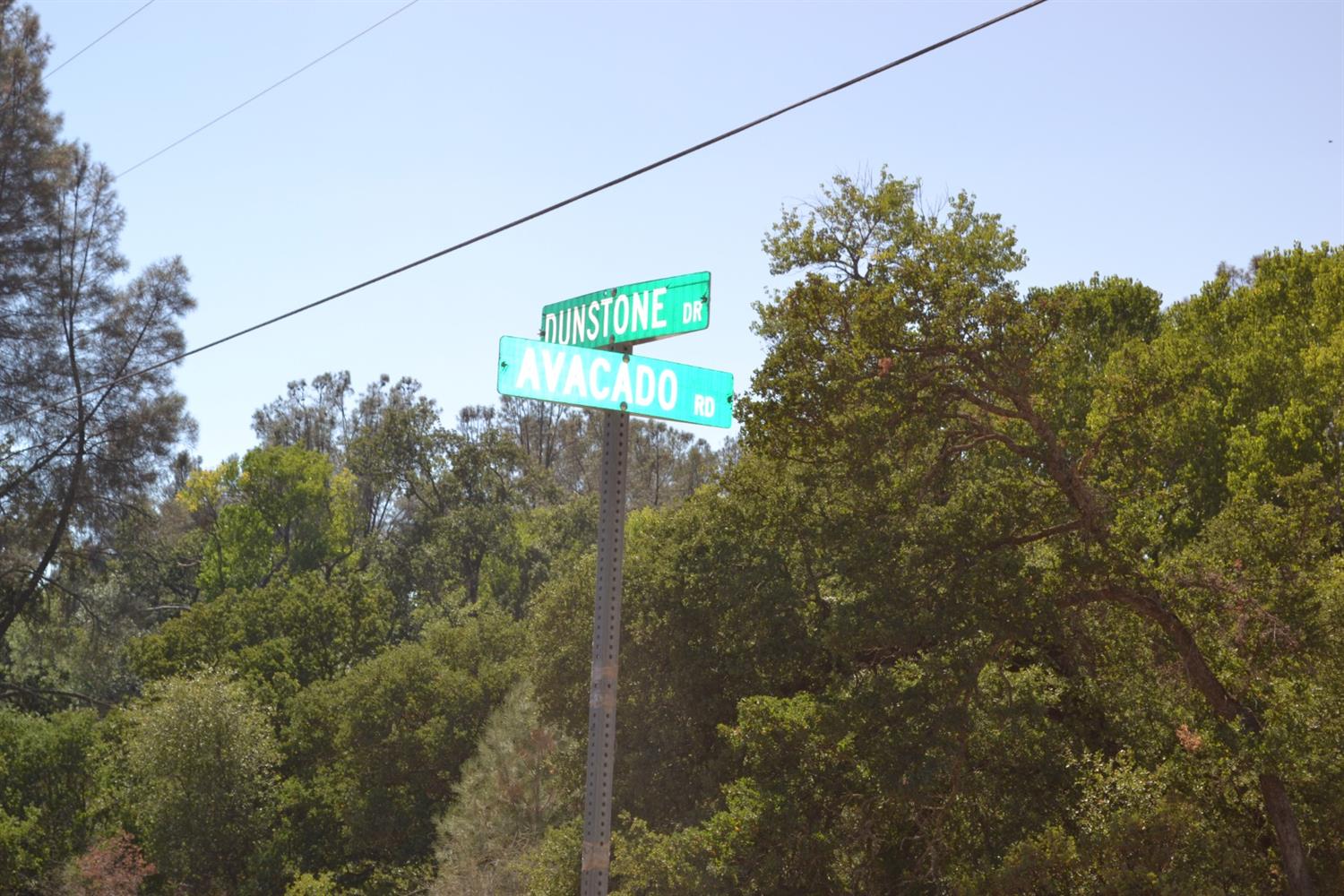 Avacado Road, Bangor, California image 7