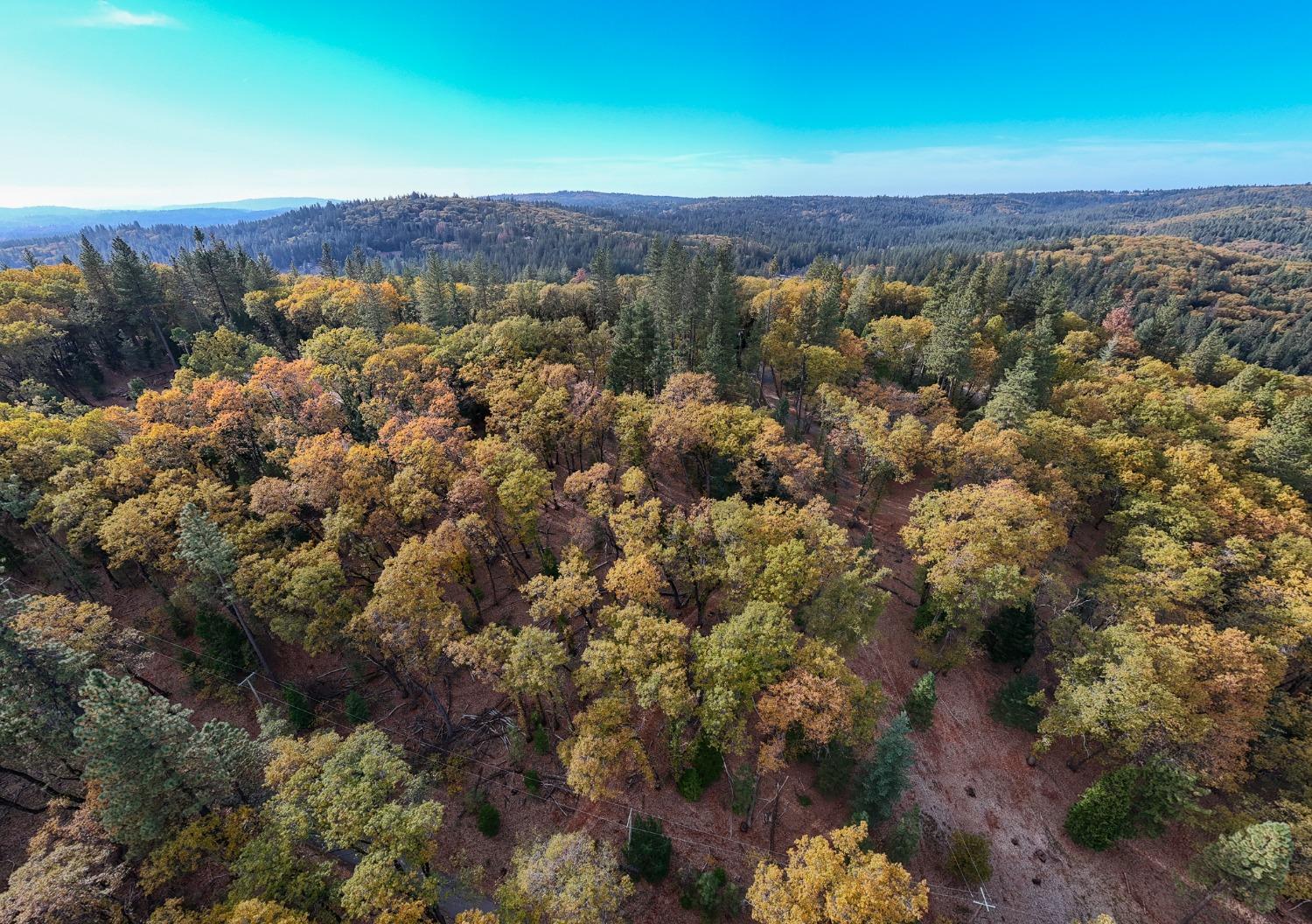 Detail Gallery Image 10 of 12 For 14008 Sontag Hill Rd, Grass Valley,  CA 95945 - – Beds | – Baths