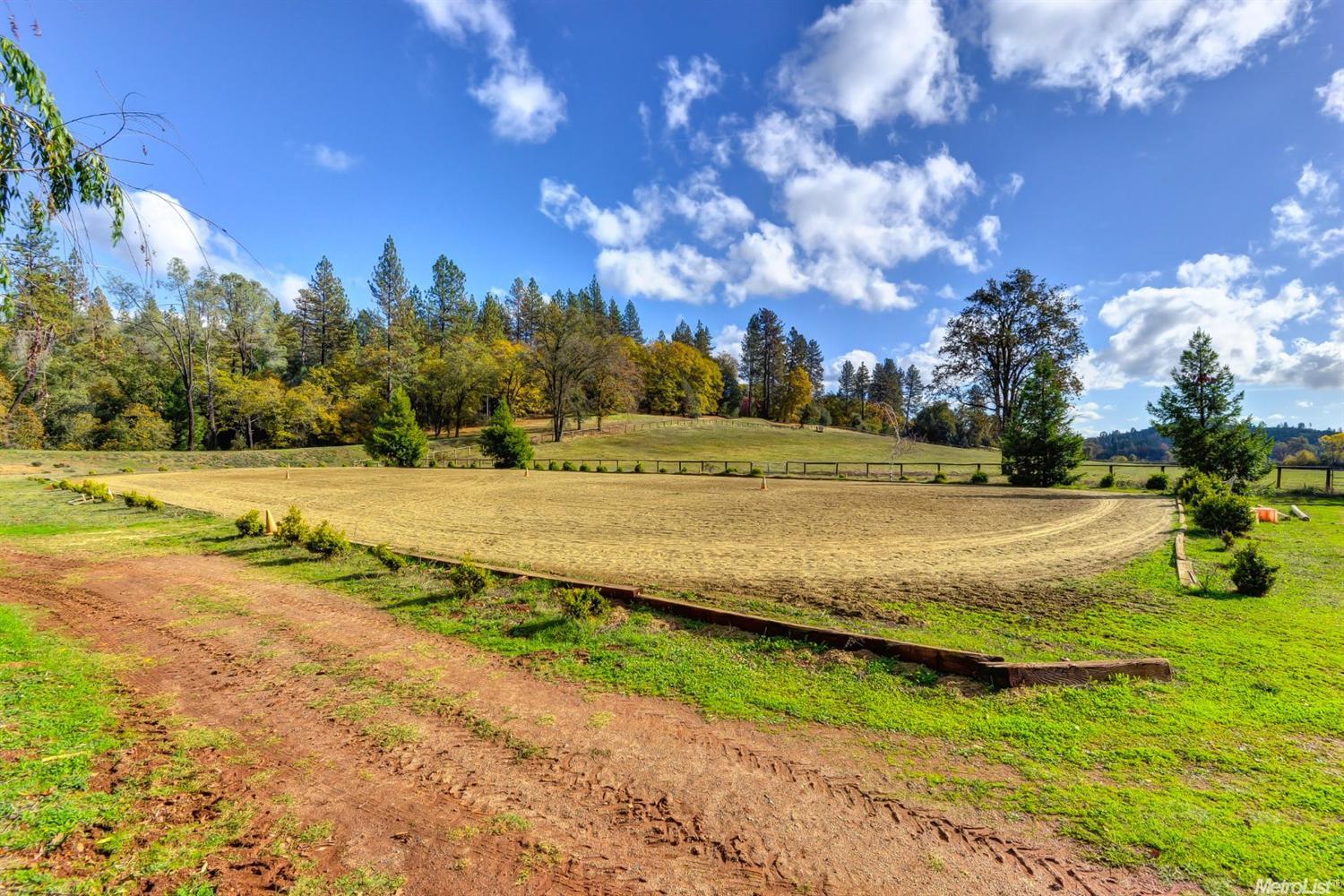 Andy Wolf Road, Garden Valley, California image 32