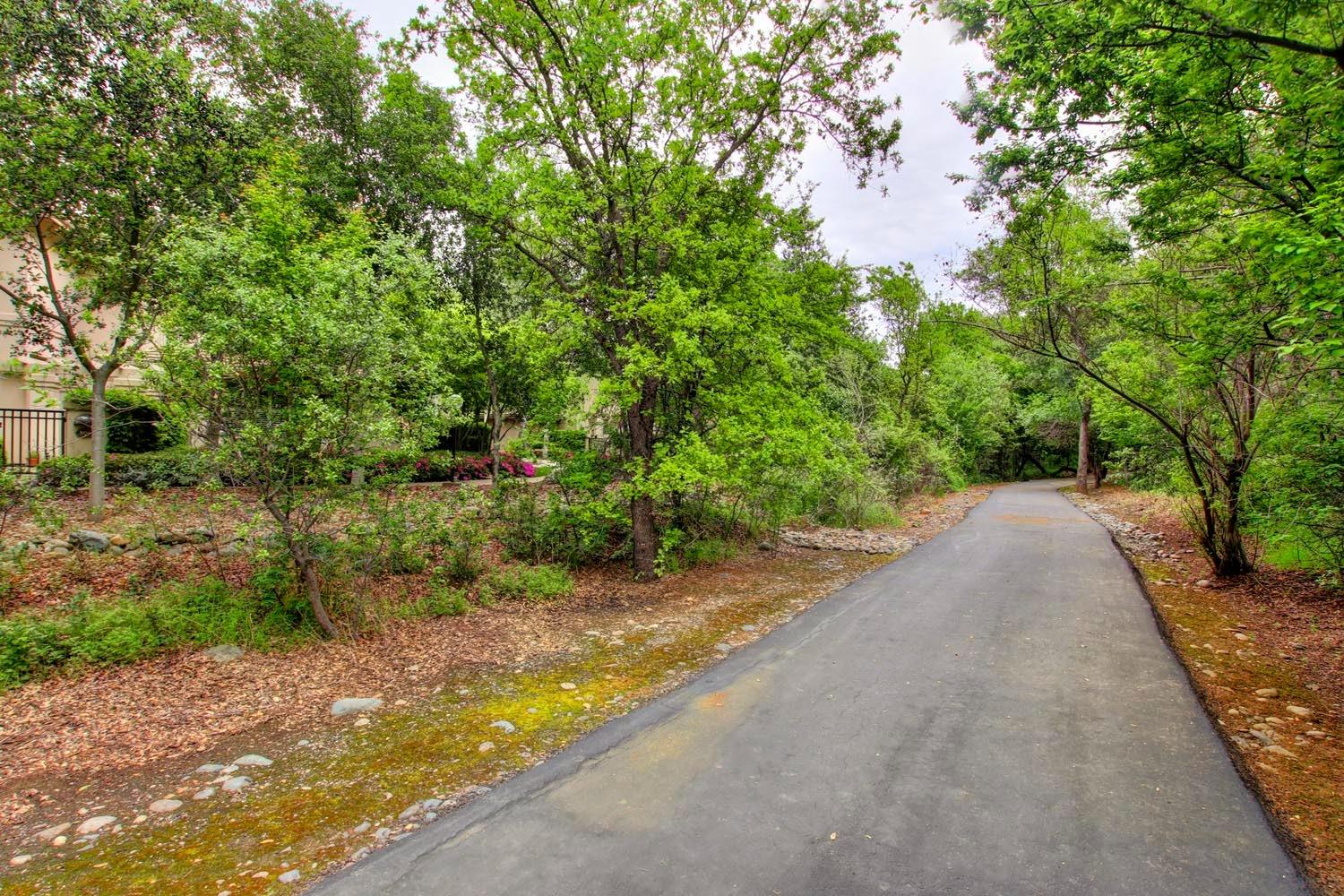 Stanford Court Lane #610, Gold River, California image 43