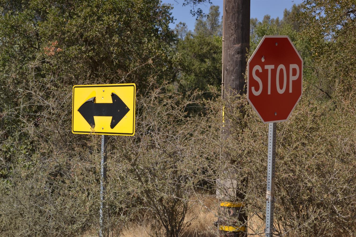 Avacado Road, Bangor, California image 5