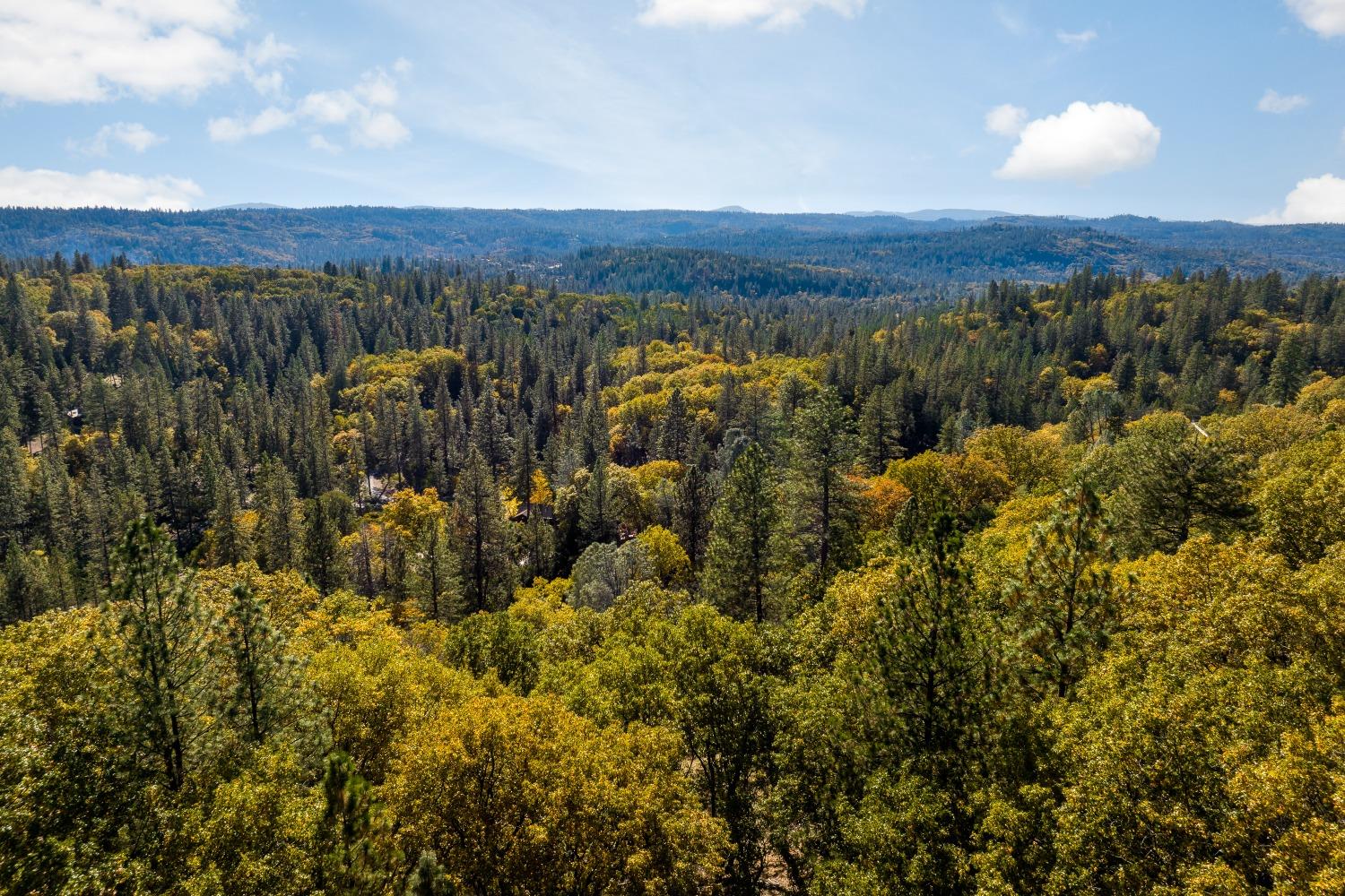 Cement Hill Road, Nevada City, California image 3