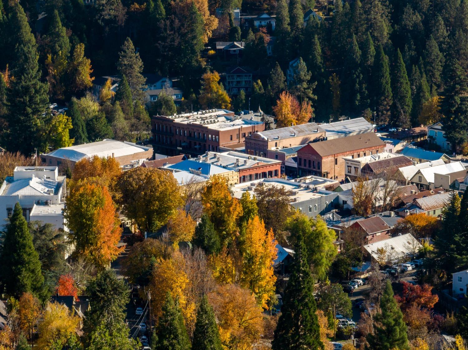 E Broad Street, Nevada City, California image 11