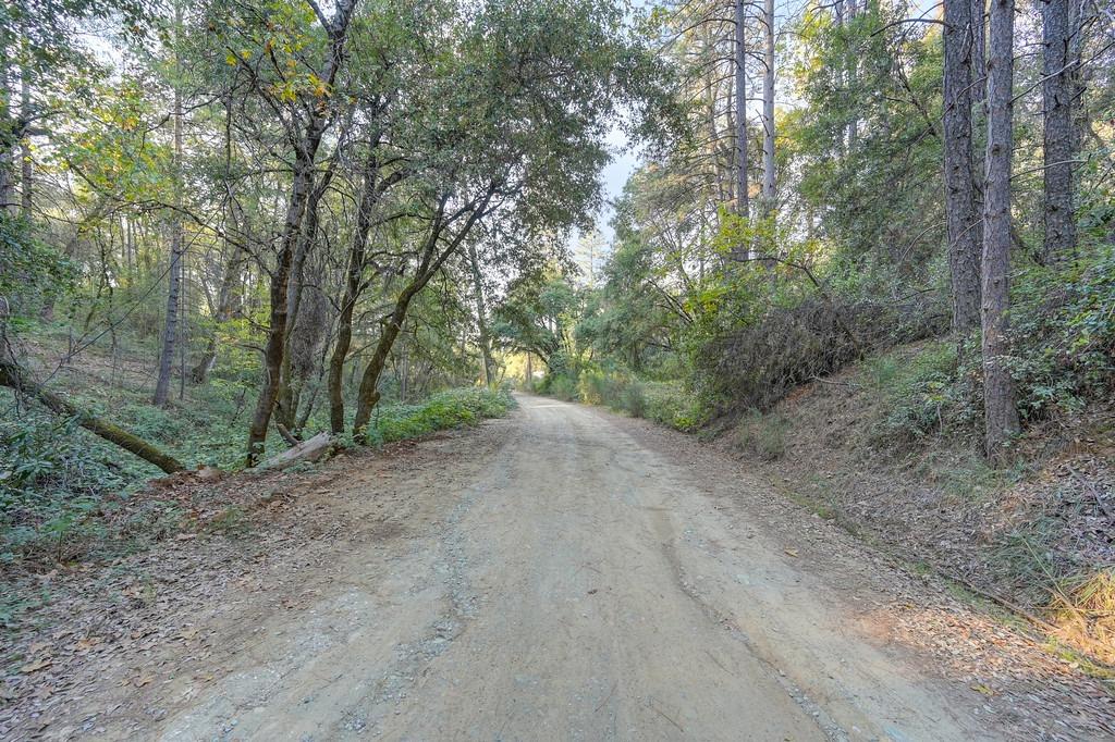 Sliger Mine Road, Greenwood, California image 18