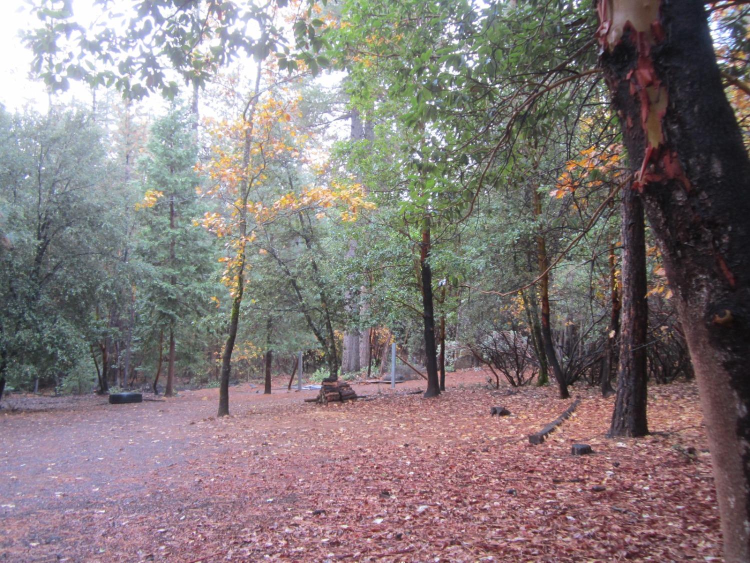 Photo of 3196 Pine Cone Ct in Placerville, CA