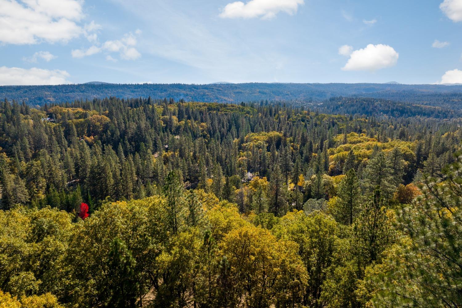 Cement Hill Road, Nevada City, California image 4