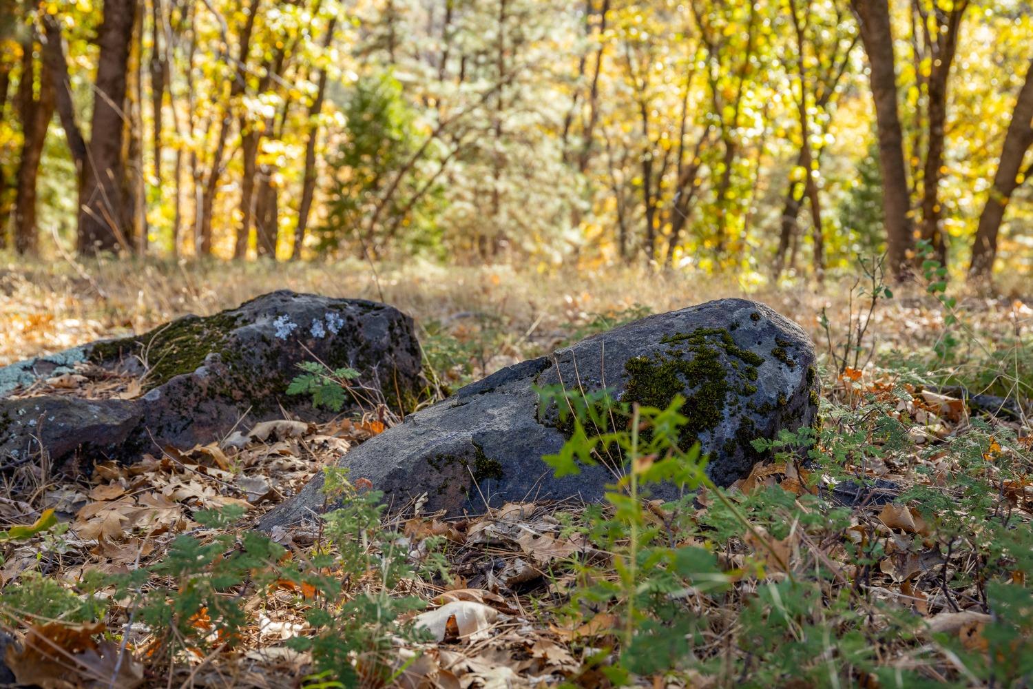 Cement Hill Road, Nevada City, California image 8