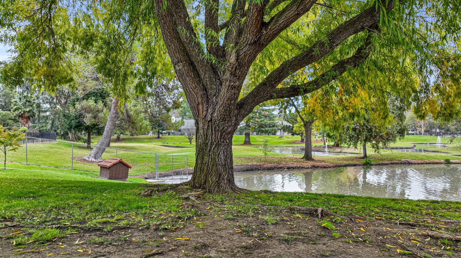 Venetian Drive, Stockton, California image 38