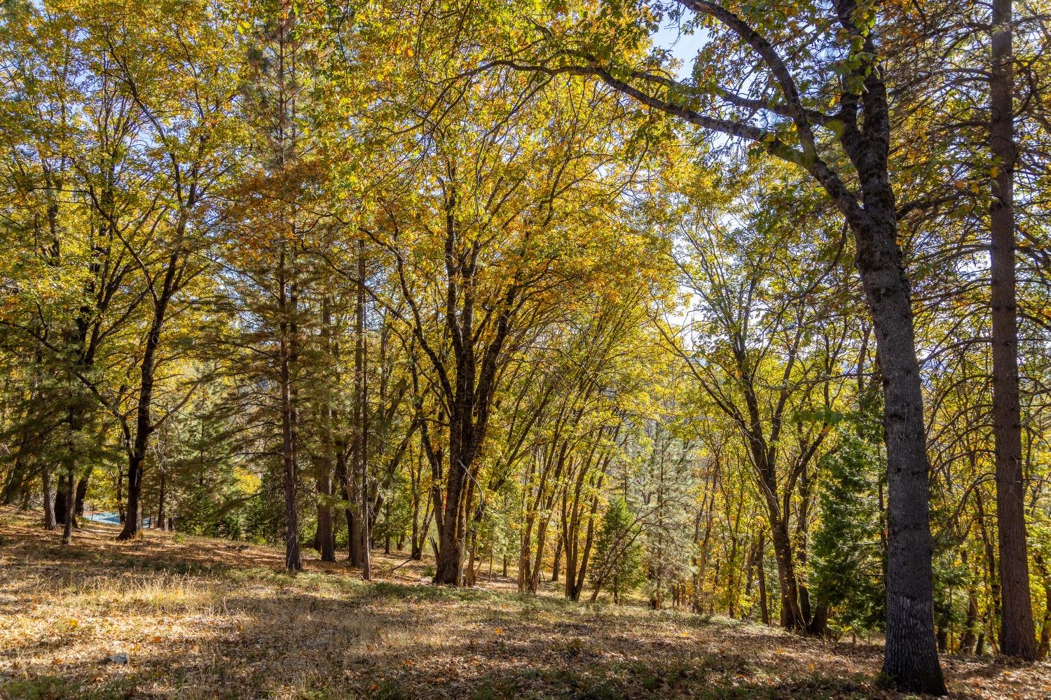 Cement Hill Road, Nevada City, California image 7