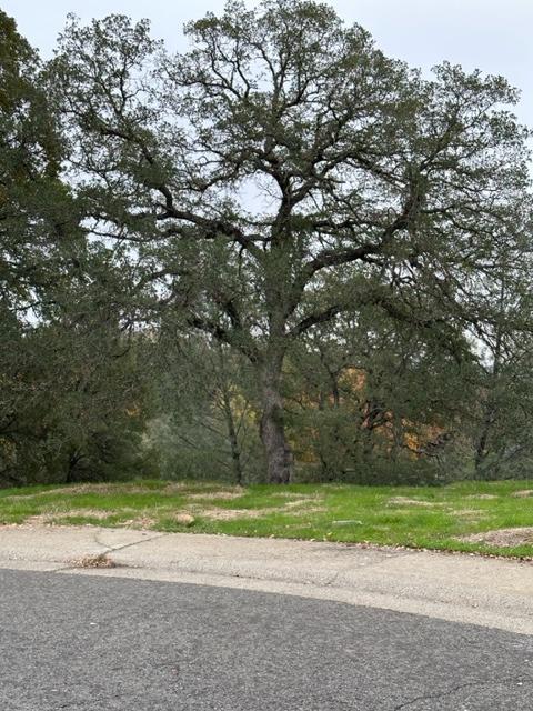 Photo of 1121-240 River Bend Ct in Folsom, CA
